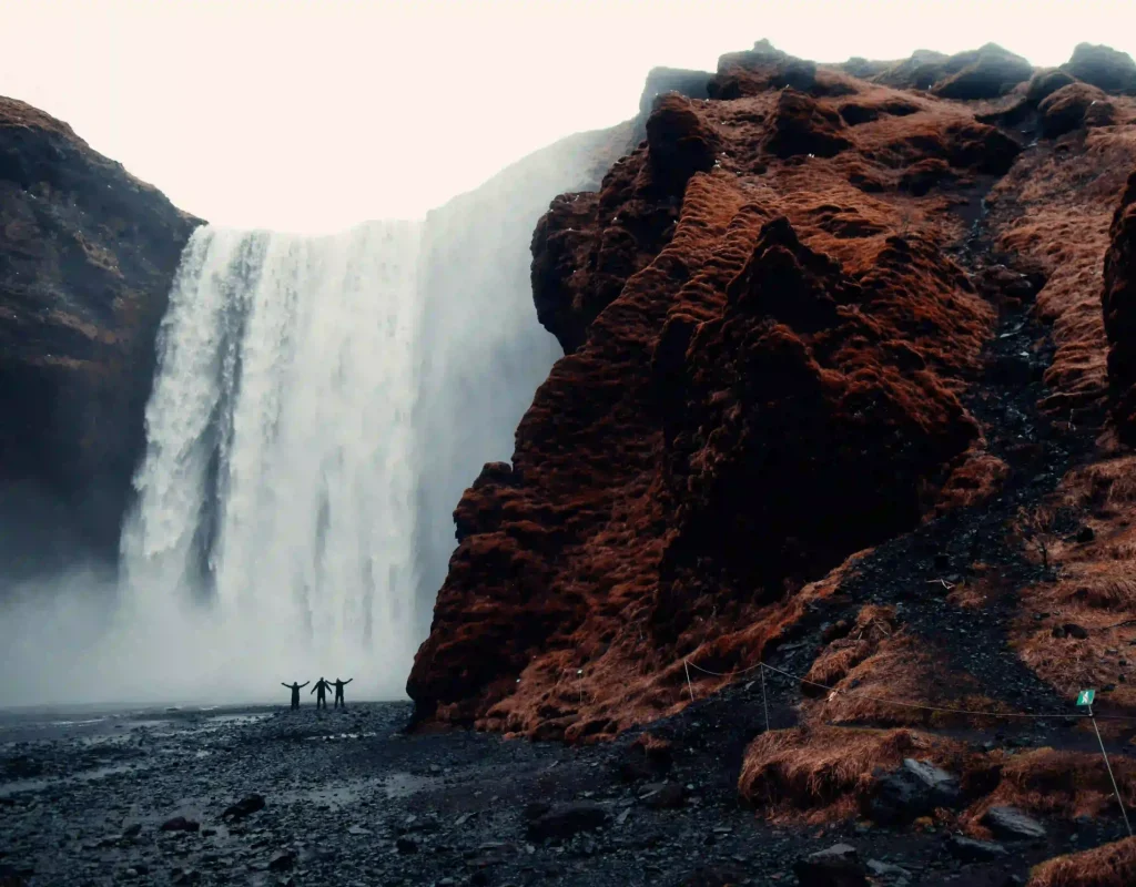 pexels-samkolder-2387873